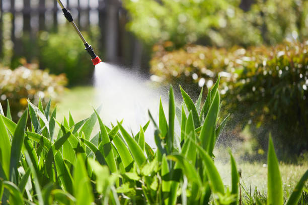 24/7 Emergency Wasp Removal experts in Dawson, GA