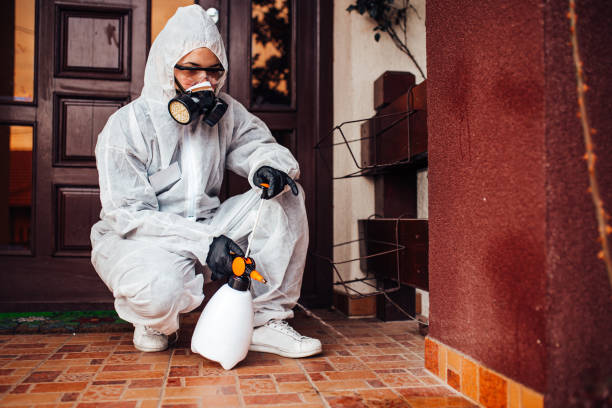 Reliable Wasp Removal contractor in Dawson, GA by Show Me Pest Control